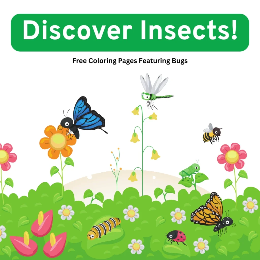 Discover Insects! Free Coloring Pages Featuring Bugs and More (Pages 7)